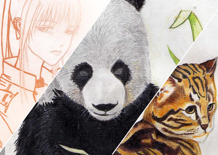 Sketches/Drawings samples